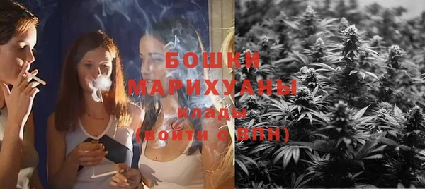 тгк Няндома