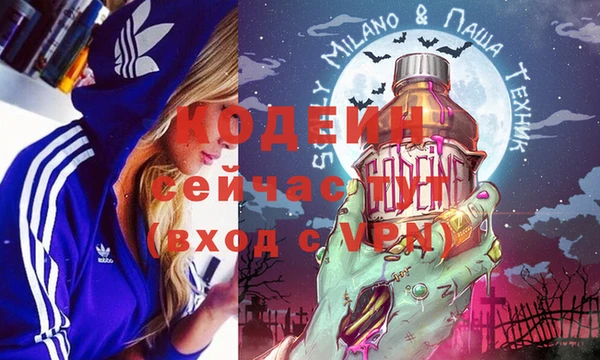 тгк Няндома