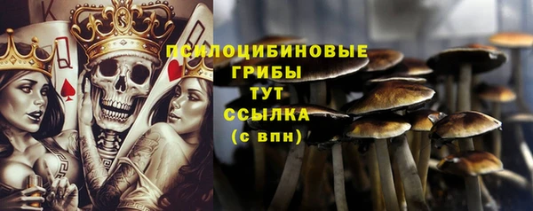мескалин Нязепетровск