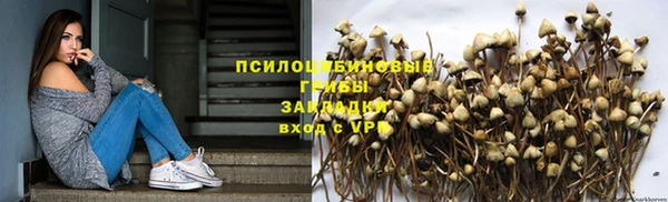 тгк Няндома