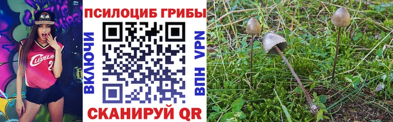 Галлюциногенные грибы Psilocybe  Ясногорск 